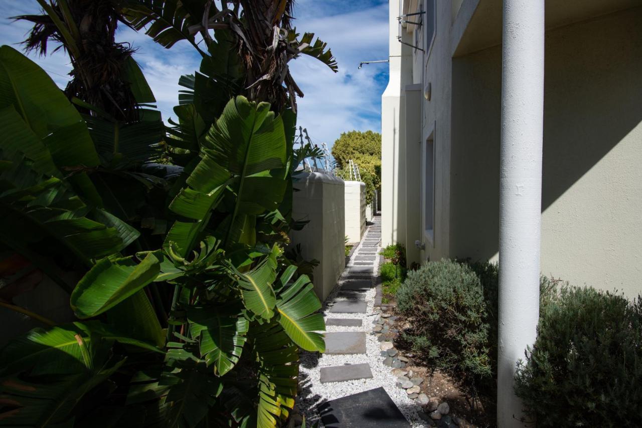 Saffron House Guesthouse Cape Town Ngoại thất bức ảnh